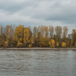 Scenic view of river by trees against sky