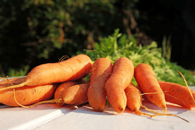 Close-up of fresh vegetables on table