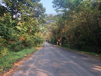 Road amidst trees against sky