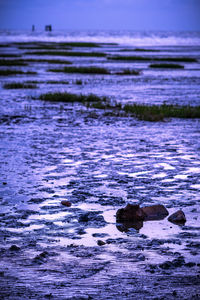 Scenic view of sea