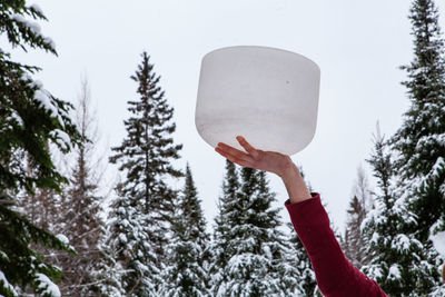 Person holding ice cream cone against trees during winter