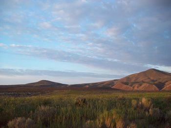 Scenic view of landscape against sky