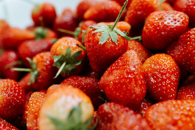 Close-up of strawberries