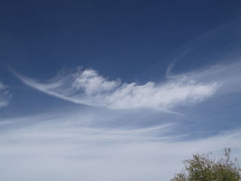 Low angle view of sky