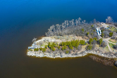 High angle view of trees by sea