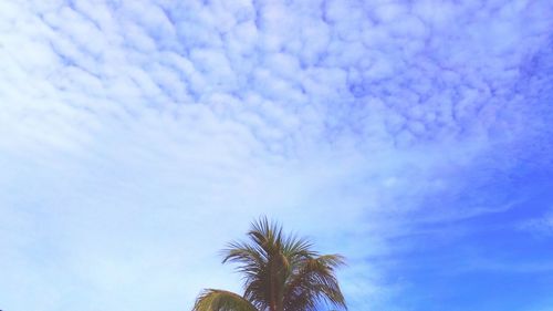 Low angle view of trees against cloudy sky