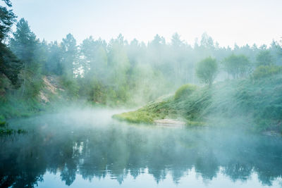 Scenic view of lake in forest against sky