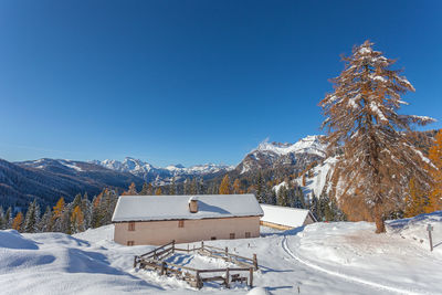 Winter scenery behind an alpine hut and a big colorful larch tree