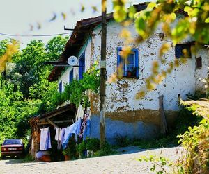 View of house with trees in background