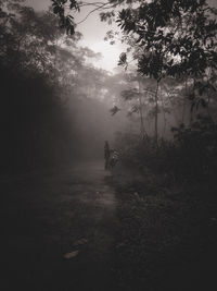 Man by trees in forest during foggy weather