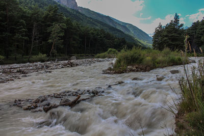 Scenic view of river stream amidst trees against sky