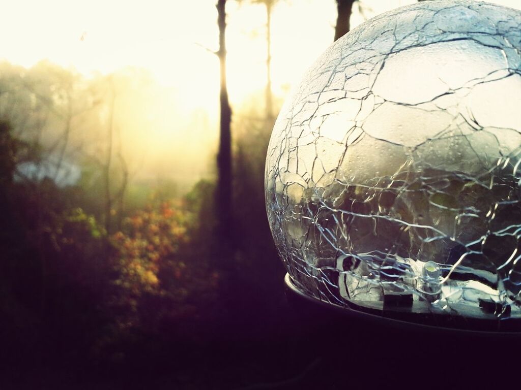 close-up, focus on foreground, glass - material, transparent, reflection, drop, fragility, indoors, no people, nature, tree, glass, water, selective focus, sphere, hanging, window, day, plant