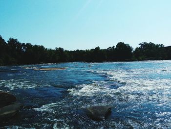 Scenic view of lake in forest against clear blue sky