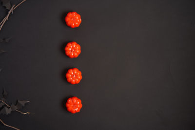 High angle view of red cherries against black background