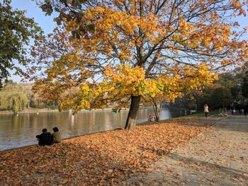 Scenic view of lake by trees in park during autumn