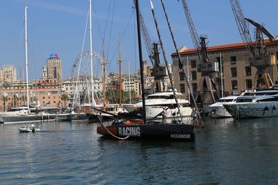 Sailboats moored in harbor