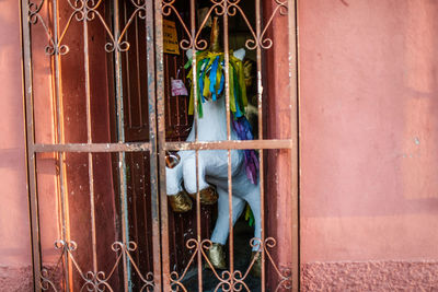 Full frame shot of clothes hanging on metal door