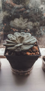Close-up of ice cream in bowl on table