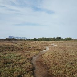 Scenic view of dry field against sky