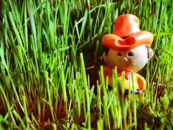 Trees on grassy field