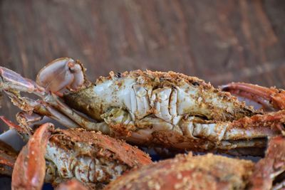 Close-up of crab