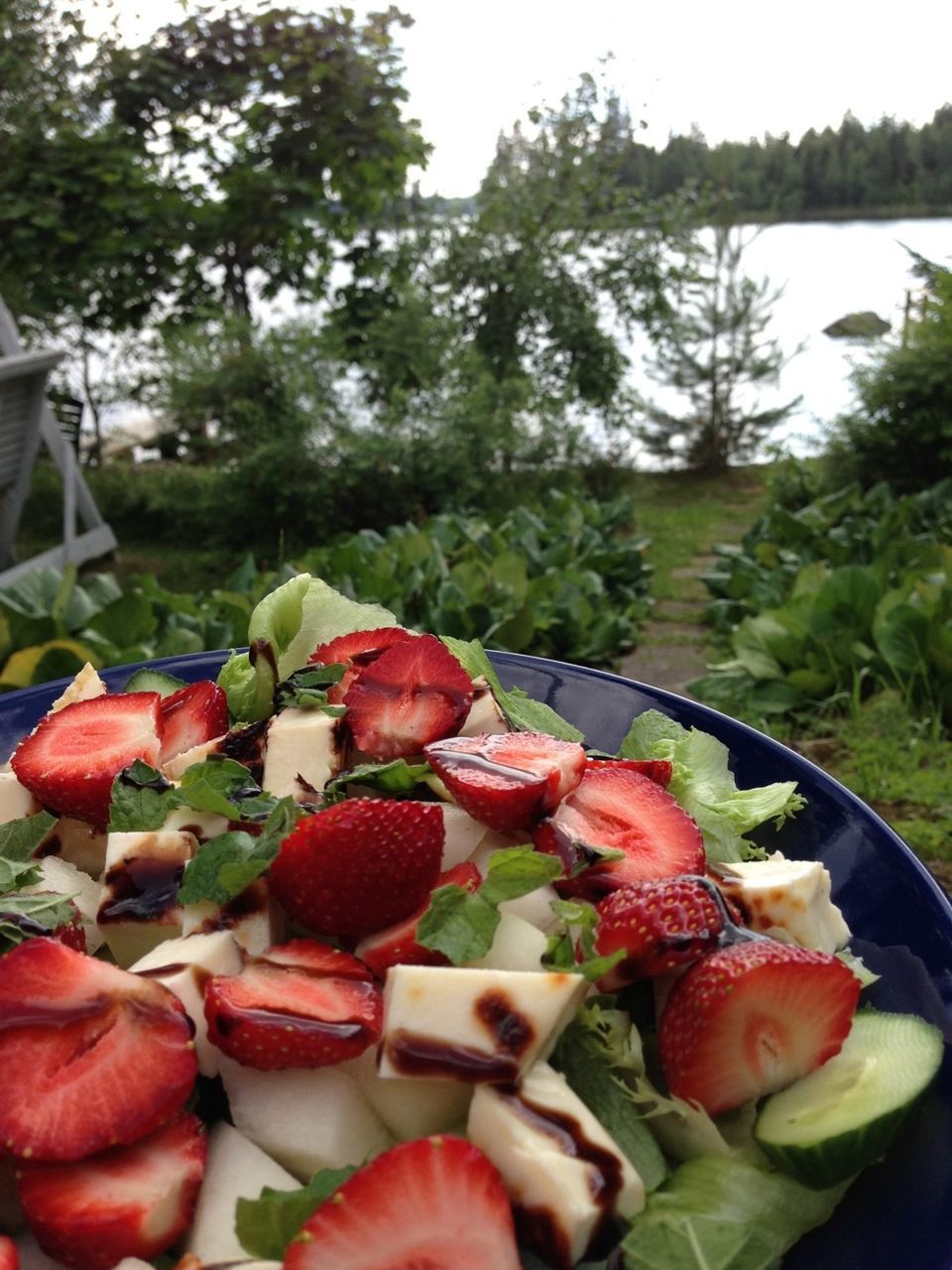 freshness, food and drink, food, leaf, healthy eating, close-up, water, tree, focus on foreground, red, growth, plant, fruit, nature, day, no people, green color, outdoors, beauty in nature, ready-to-eat