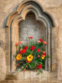 Close-up of flowering plants against wall