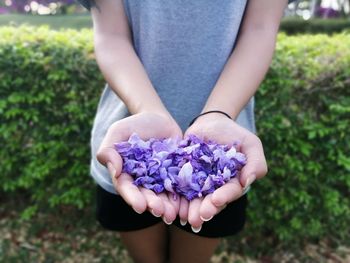 Midsection of woman holding purple flowering plant