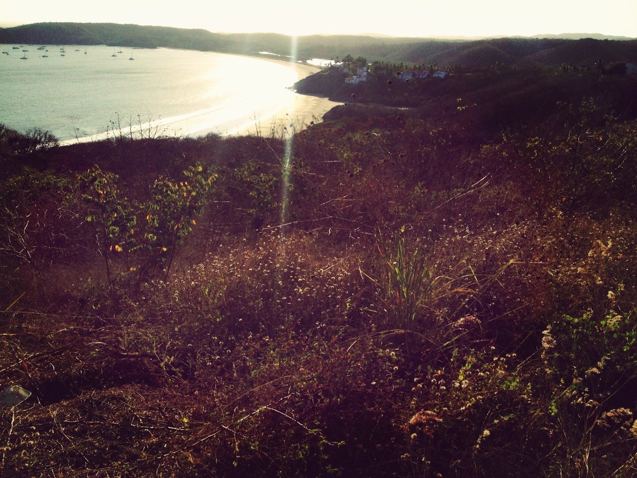tranquil scene, tranquility, landscape, beauty in nature, scenics, growth, sunlight, grass, field, nature, sun, plant, tree, non-urban scene, mountain, lens flare, idyllic, sunbeam, sky, outdoors