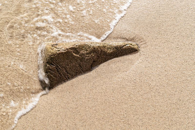 High angle view of sea shore