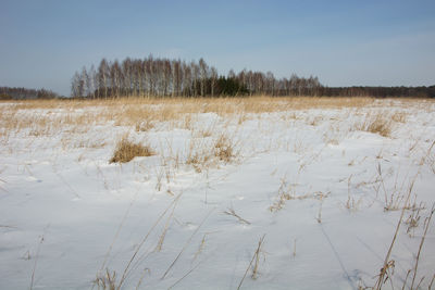 Scenic view of snow covered field against sky