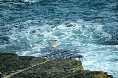 High angle view of man surfing in sea