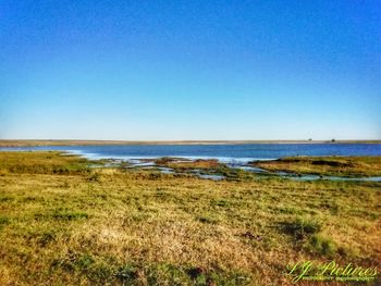 Scenic view of sea against clear blue sky