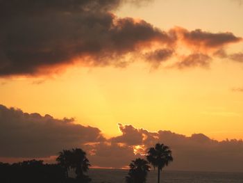 Silhouette trees against romantic sky at sunset