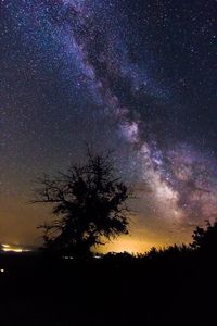 Low angle view of starry sky