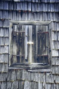 Close-up of wood