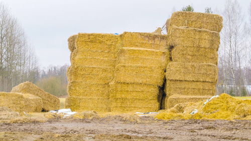 Hay bales on field against sky