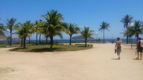 People on palm trees at beach against sky