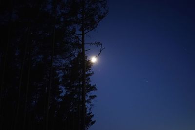 Low angle view of silhouette trees against clear sky at night