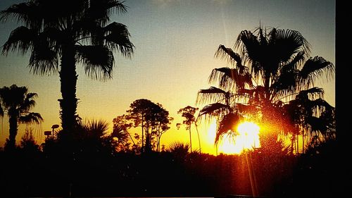 Silhouette trees against sky during sunset