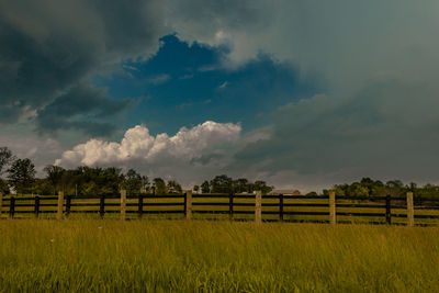 Scenic view of agricultural field against sky