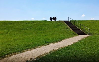 People on grassy field