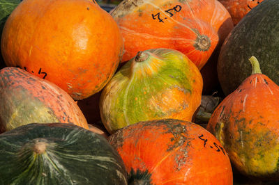 High angle view of pumpkins in market