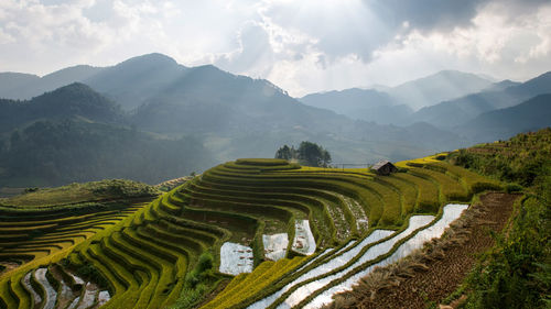 Panoramic view of agricultural field against sky