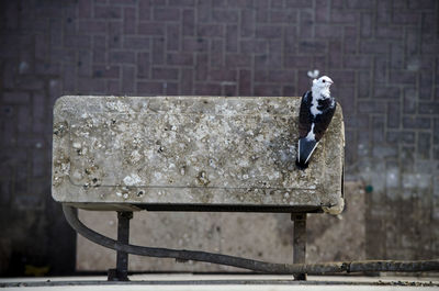 Directly above shot of pigeon perching on air conditioner against footpath