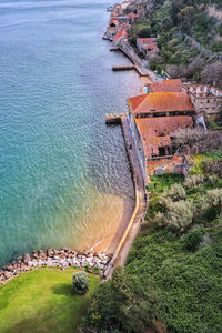 High angle view of plants by sea