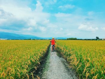 Rear view of man walking on agricultural field against sky