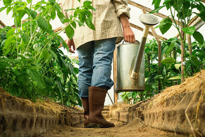 Low section of man standing in farm