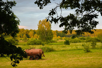 Trees on field against sky