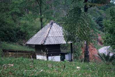 House on field against trees in forest